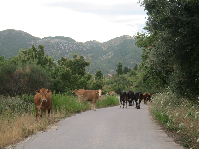 ΔΕΛΤΙΟ ΤΥΠΟΥ ΔΗΜΟΥ&nbsp;ΛΕΥΚΑΔΑΣ